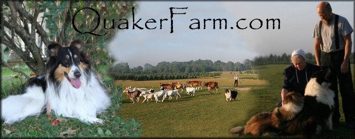 Quaker Farm, Michigan, sustainable living, homesteading