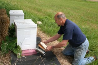 Quaker Bill and his bees, Harrisville, Michigan