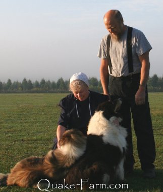 Bill and Kimberly Anne with their farm Collies during filming by Animal Planet at Quaker Hill Farm.
