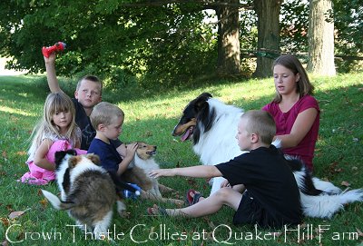 Children playing with Collie puppies at Quaker Hill Farm for Dogs 101