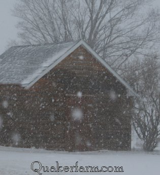 Friendly old barn